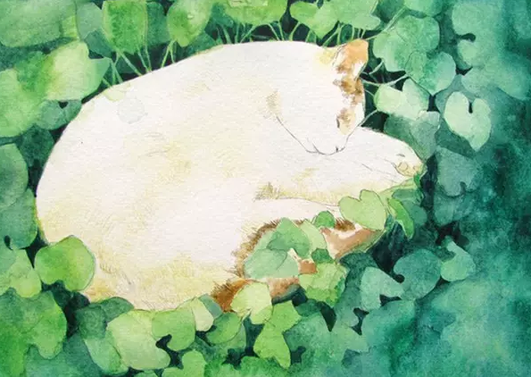 150112557459795bc66a054412854.png 人生哲理故事3则