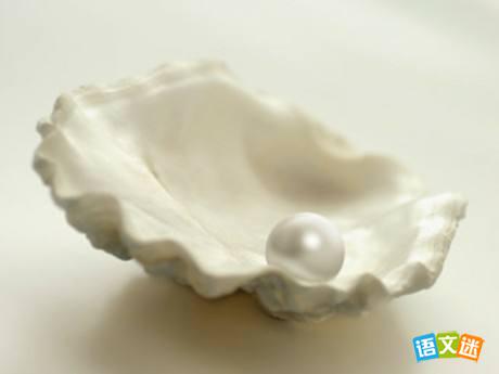 �������¾��������Լ���Ϊ����