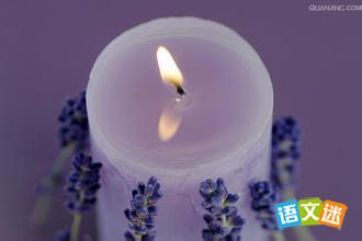 ���ڽ��������������