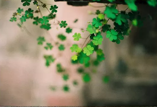 24150087070559757831aa131729733.png 高考作文素材积累:人生理想篇