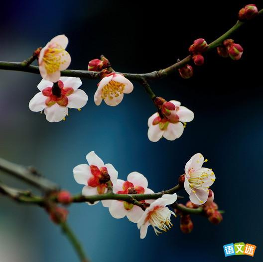 关于节操的高考精选素材