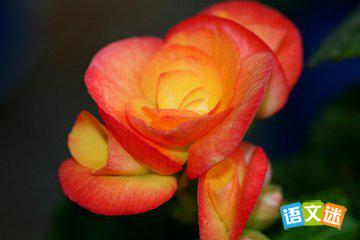 关于感恩的成语故事