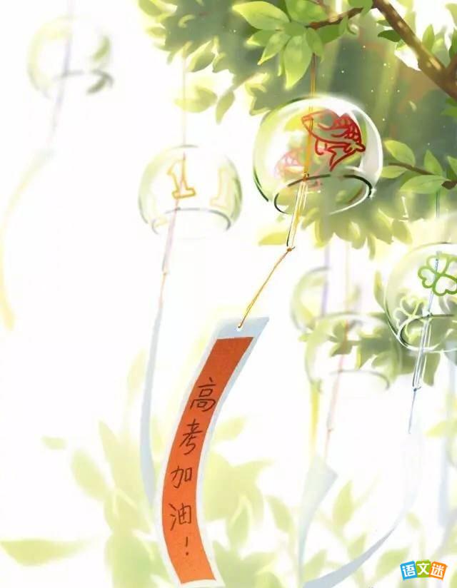 �߿�40���������