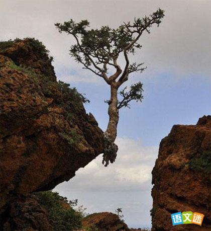 �������£����Ǳ��˵�һ����