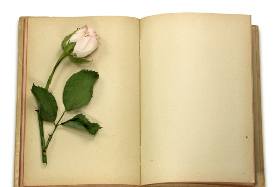 �йؿ̿����ĳ������