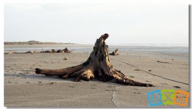 ��������ĳ������