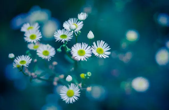 �п������زģ��ѡ���������ɡ��Ƹ���