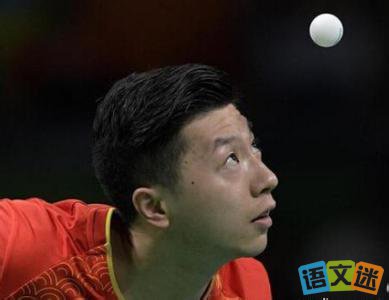 2016����Լ���˹ھ�������С����