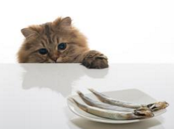 10个经典哲理小故事