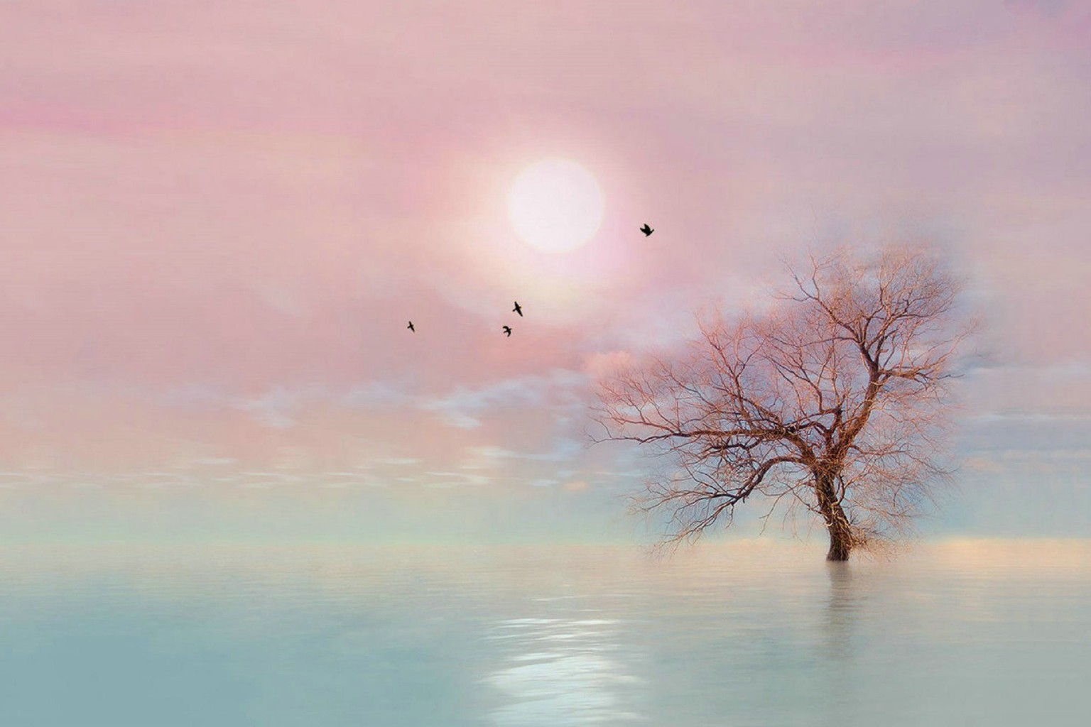 �п������زģ��������ԣ���ʵƪ��