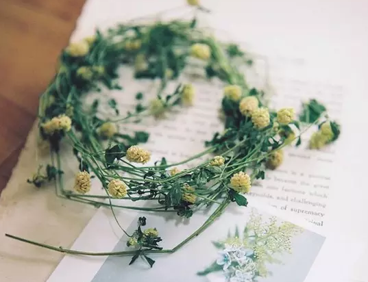 191500450134596f0d56b0620170060.png 受益终生的10个哲理小故事