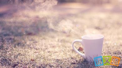 哲理故事:不穷追的智慧