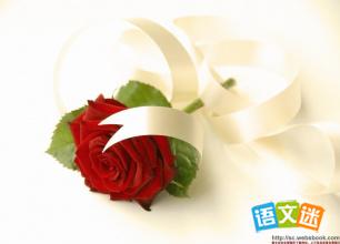 ������ؤ��õ�廨����������