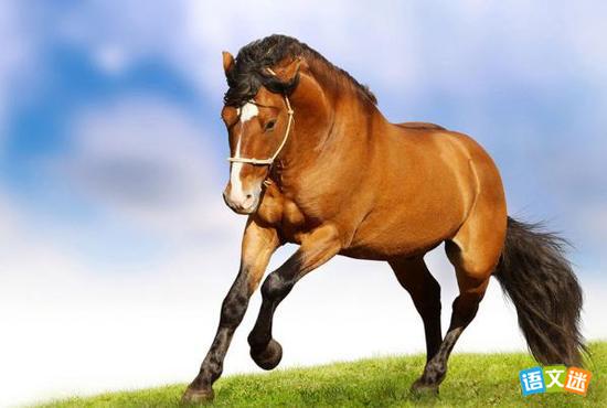 ����֮�ͳ������