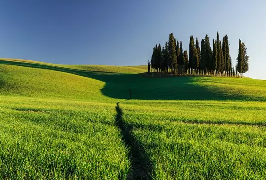 ����ʵ�ø߿������ز�