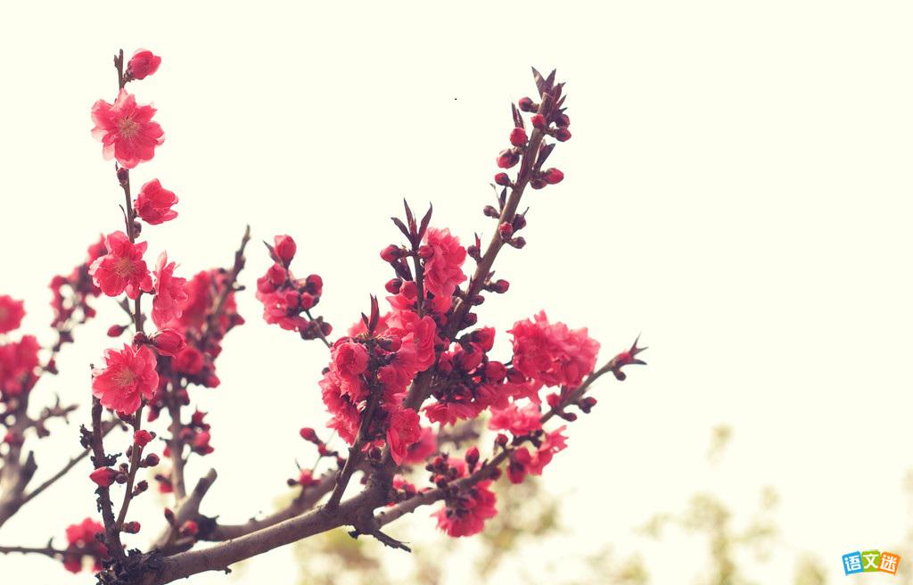 �������£�һ�俪��Ļ�