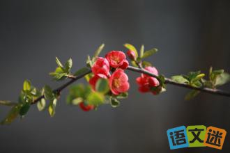 笑对人生的名言警句