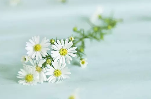 ��д����ĺôʺþ�