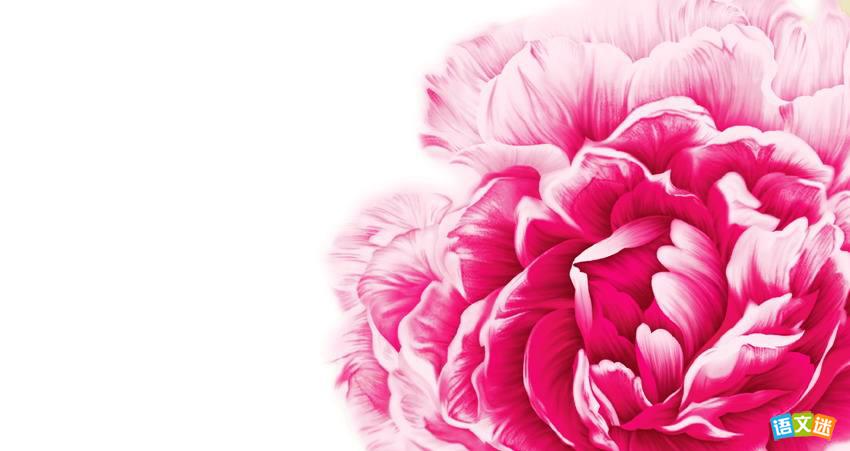 �߿��������¿�ͷ��ѡ