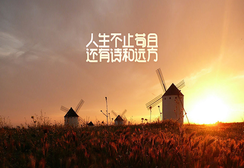 �Դ�ѧ����Ϊ����������ز�