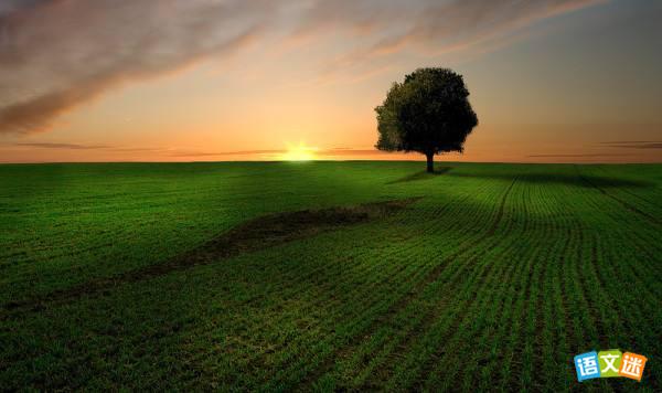 �׺�ɣ��������