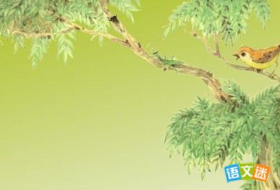 ��벶������ȸ�ں�Ĺ���