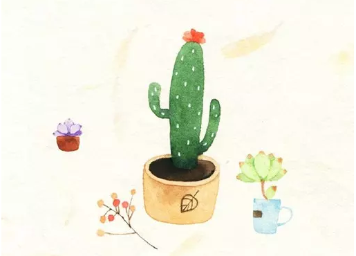 ��Ӯ�����߿������ز�