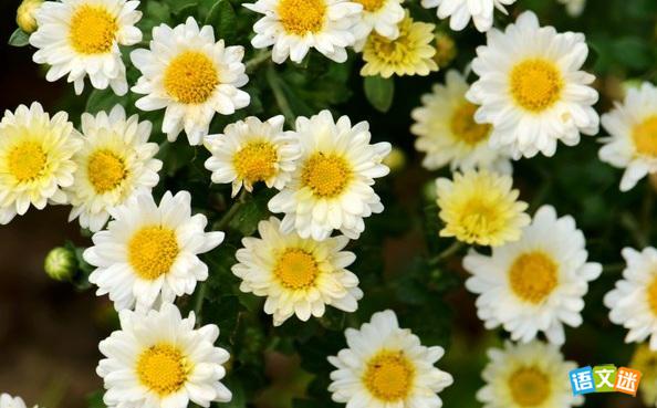 高考素材之独立使人成长