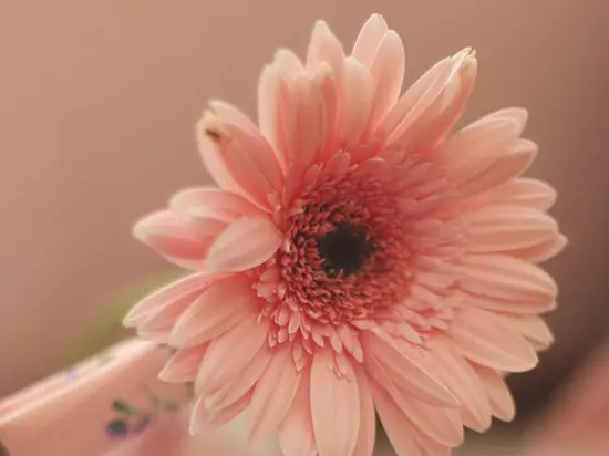 ����д���زģ�������