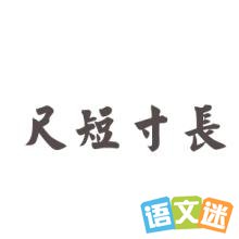 �߶̴糤�ĳ������