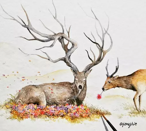 �п��زģ�����˫Ӯ