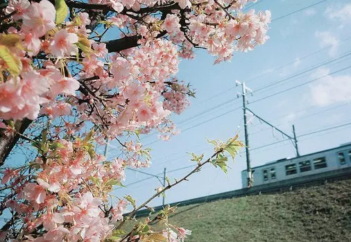 �п�д���زģ�ʵ��