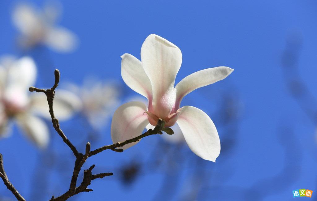 2017��߿�д���زģ���Խ����ķҷ�����