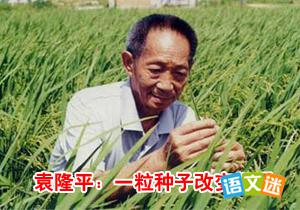 高考人物素材科学大家:袁隆平