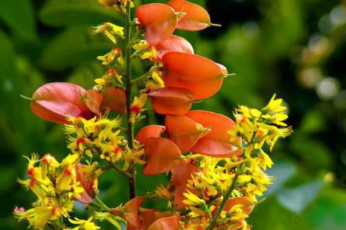 ��Ҫ��ɹ�������������˹���