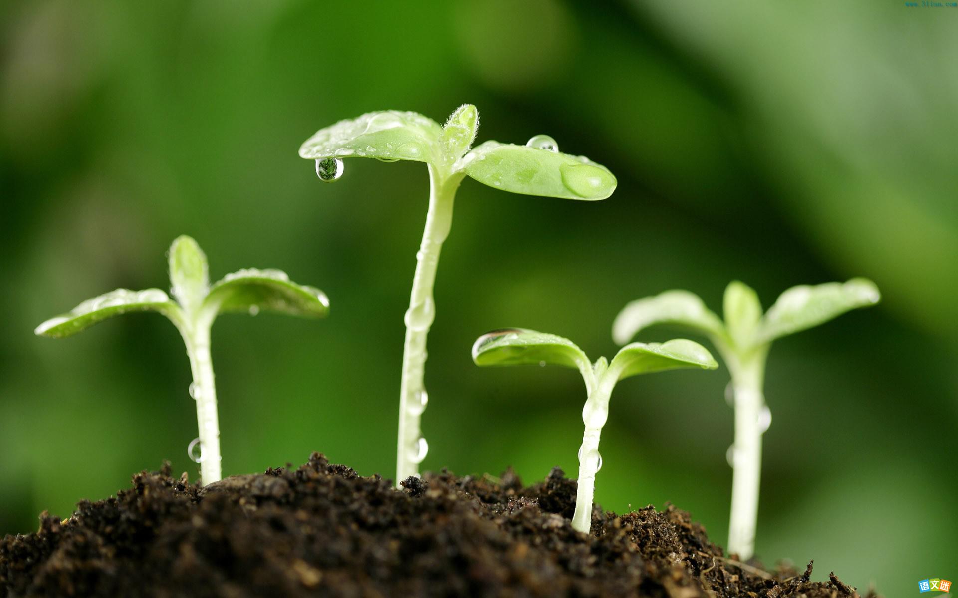 有关人格的高考语文素材