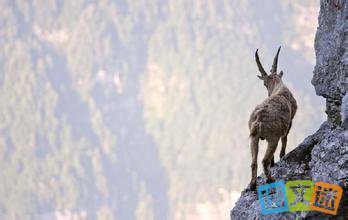 谁才是真正的勇者哲理故事