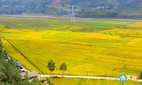 �߿������ز�֮�������