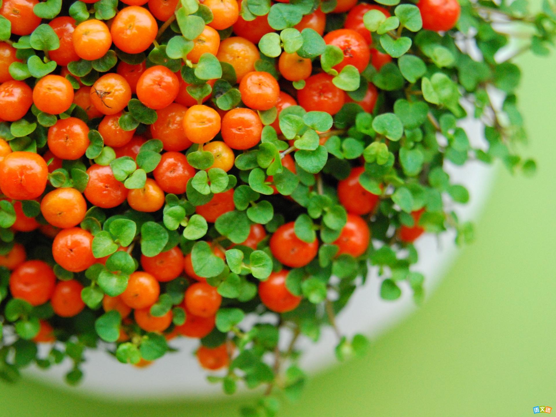 高考经典作文素材大全