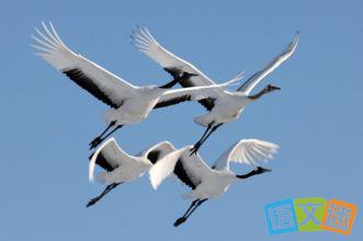 ��ѧ����Ů������������