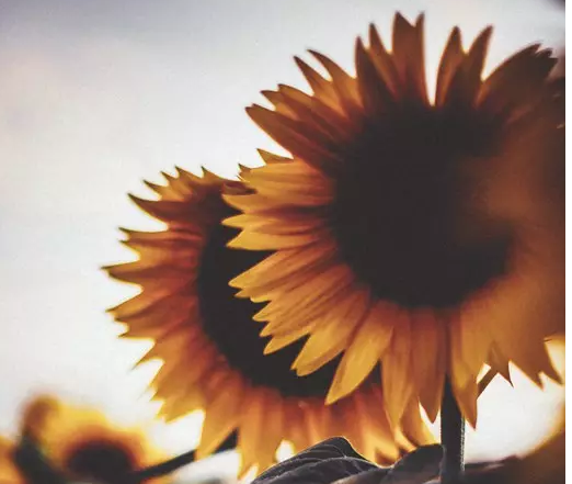 ������£�������