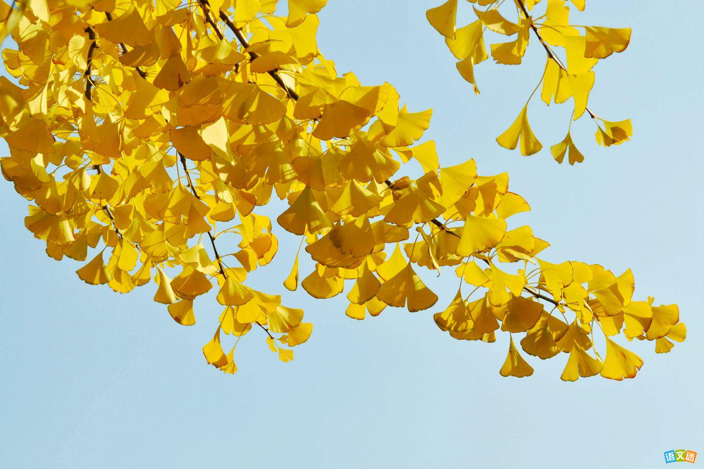 �߿��������Ŀ�ͷ������