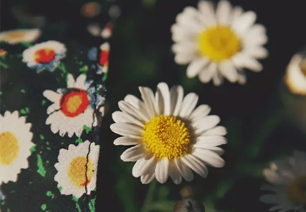 С˵���ҵ����˹����ز�