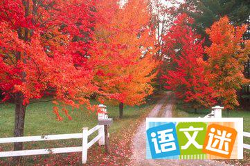 2017年初中优秀抒情类作文:浪漫