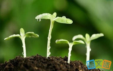 ��Ӧ��ܶ�����������