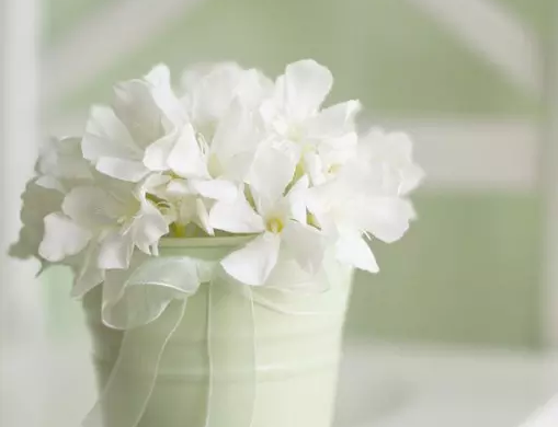 ������£�ƥ������,�������