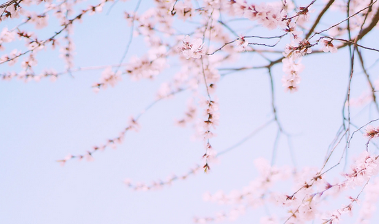 �޳����ҵĳ������