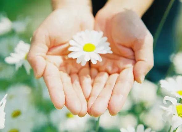 ���ԣ�һ���������м�ֵ�ĵط�