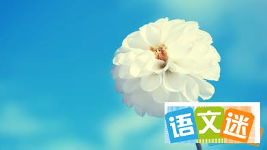 说“不”的勇气精选哲理故事