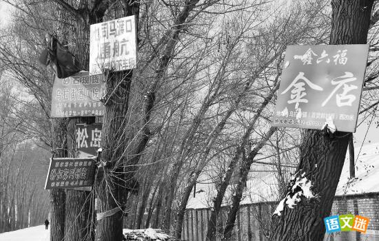 �й���������ĸ߿�д������